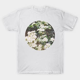 Spring Evening T-Shirt